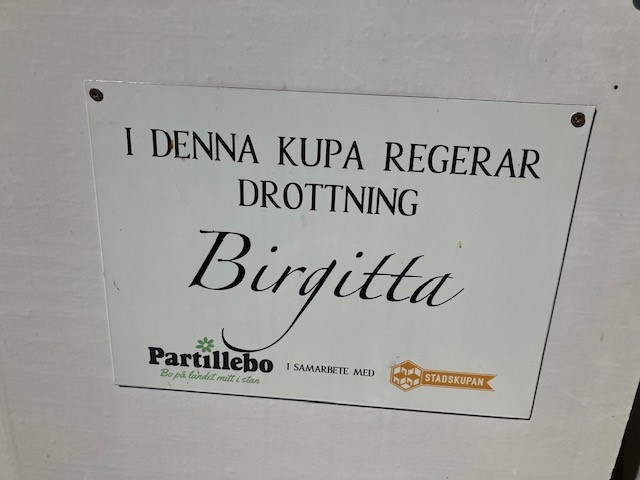 Bikupor 4.jpg