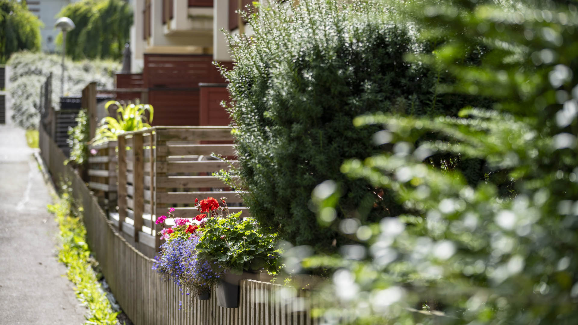 Ljungkullen utemiljö, uteplatser och blommor