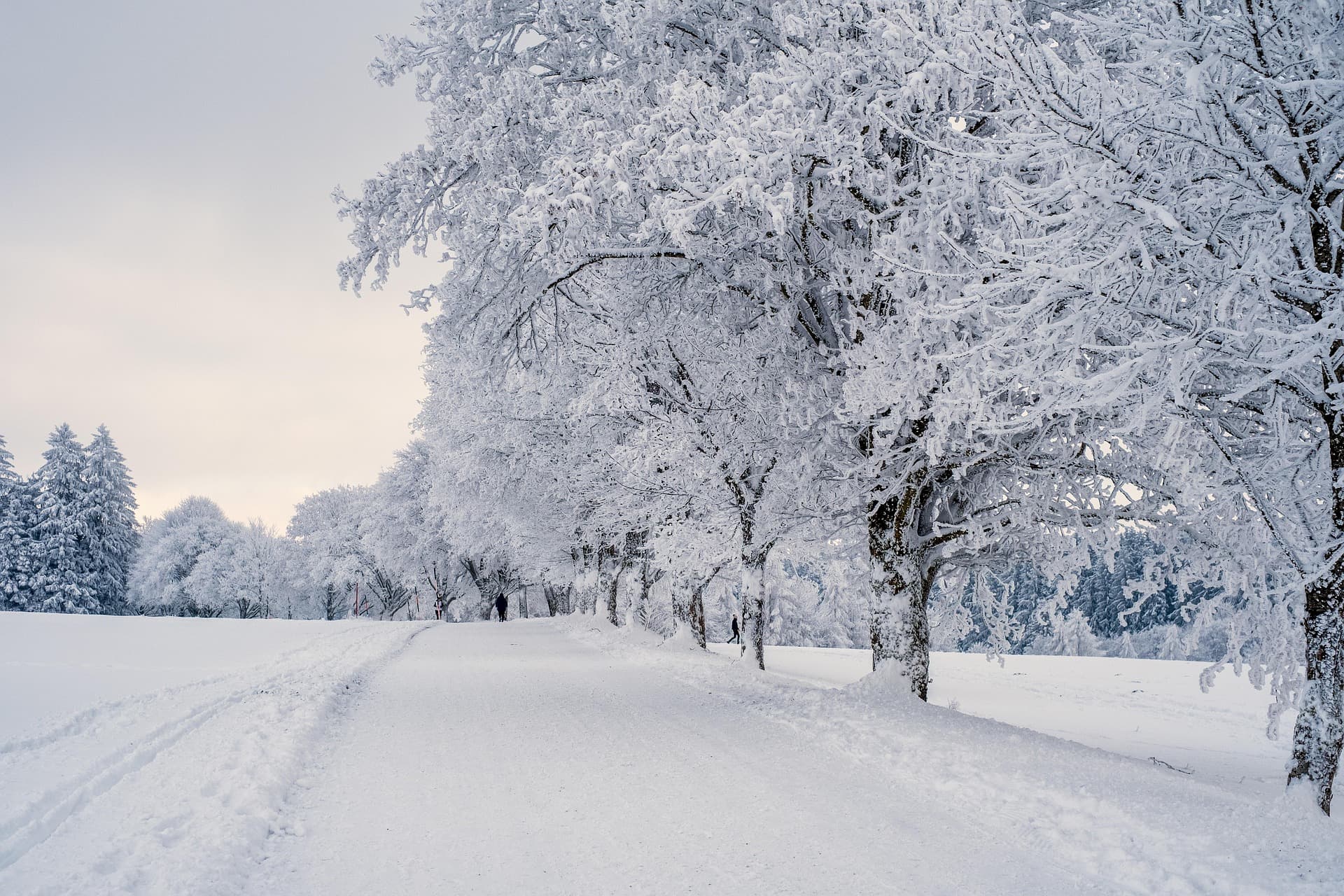 Snöig väg