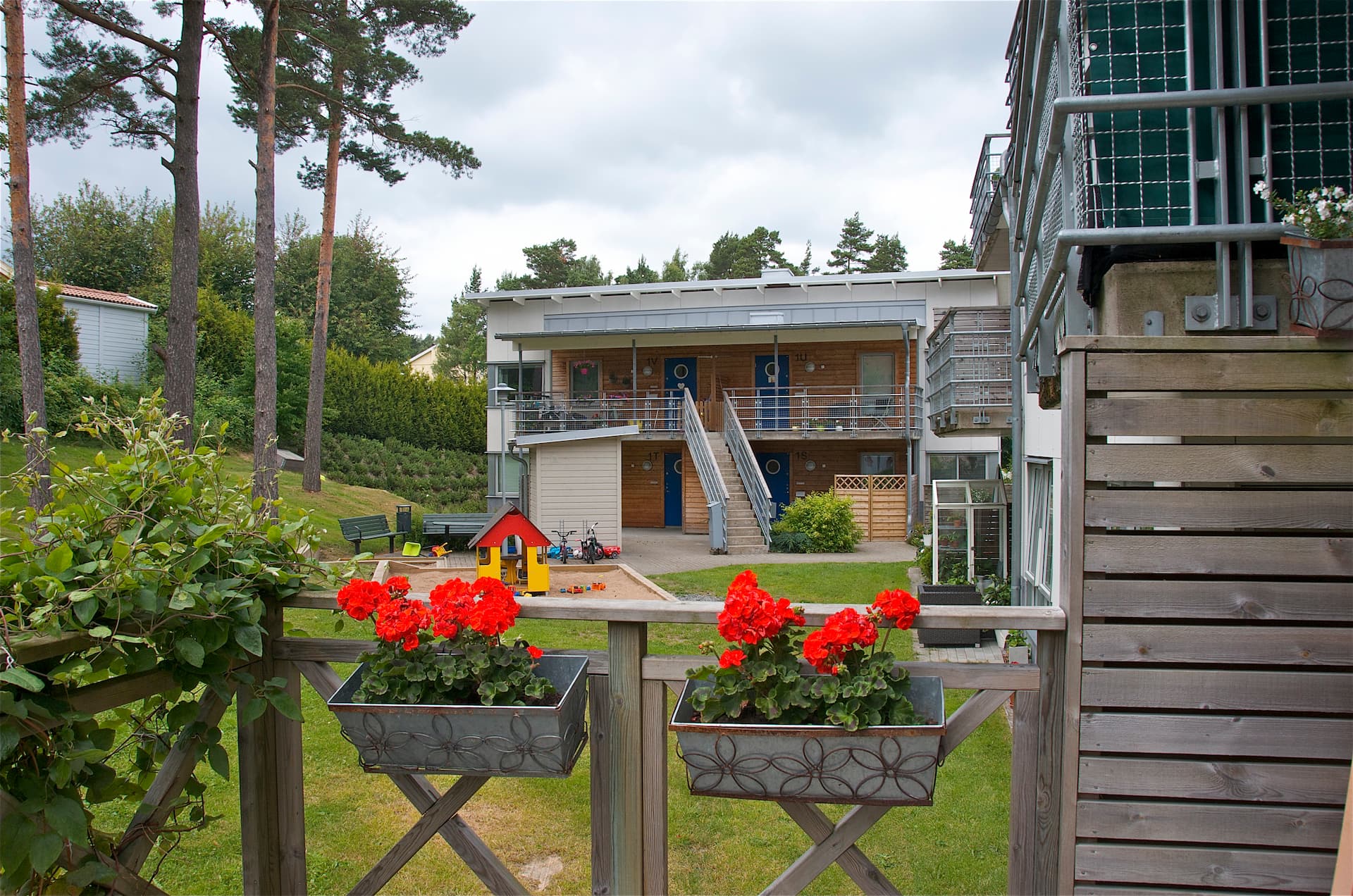 Talliden, blommor Talliden, blommor
